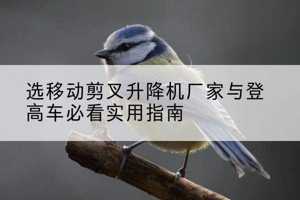 马龙电动升降机厂家-选移动剪叉升降机厂家与登高车必看实用指南