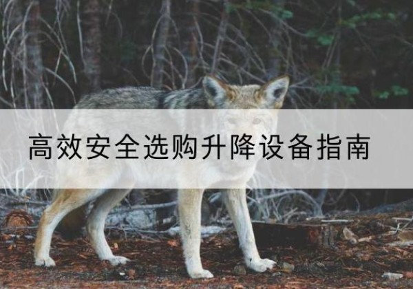 马龙升降货梯厂家推荐-*安全选购升降设备指南