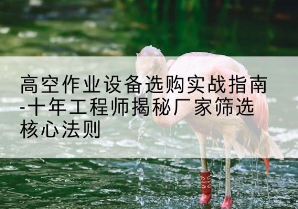 马龙剪叉式升降机厂家-高空作业设备选购实战指南-十年工程师揭秘厂家筛选核心法则